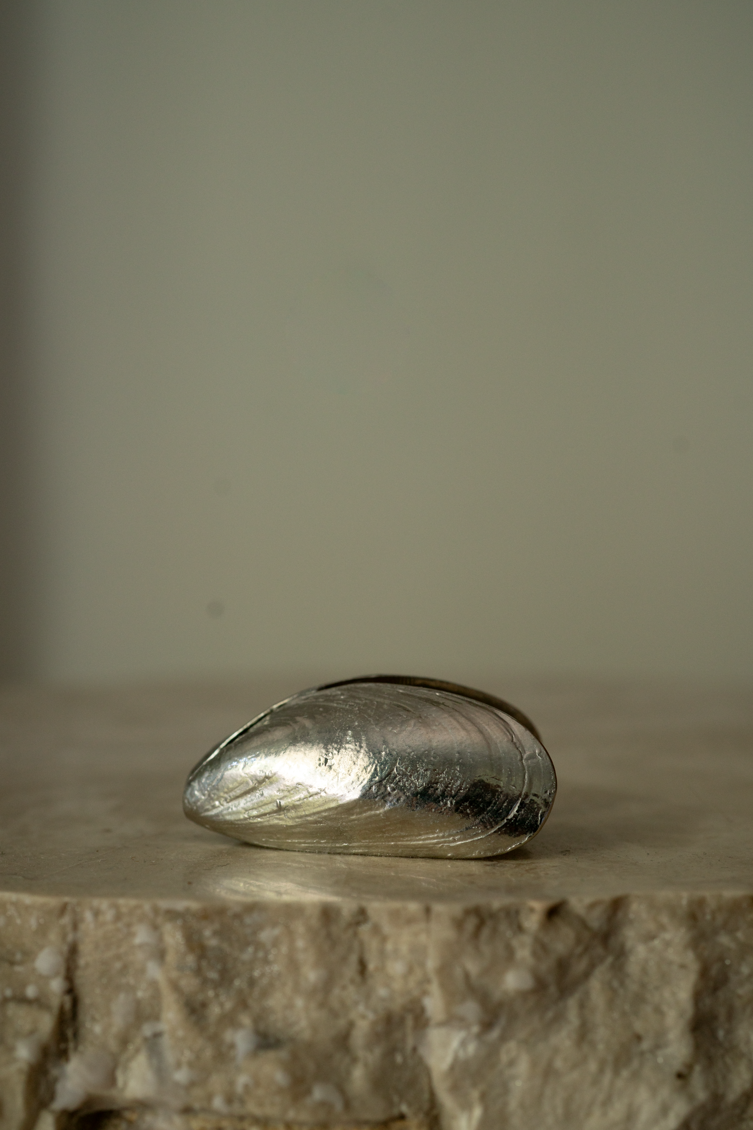 The Zeeland mussel cutlery